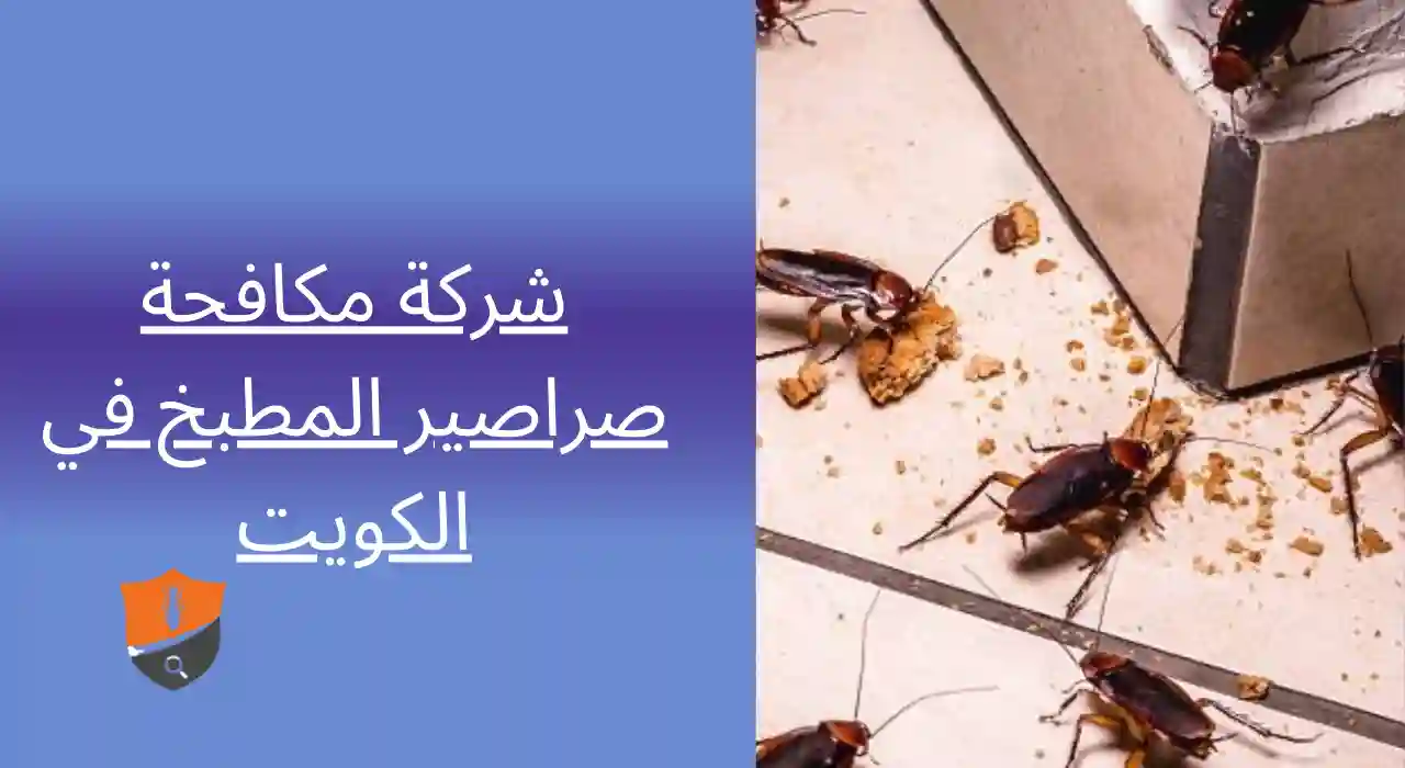 شركة مكافحة صراصير المطبخ في الكويت