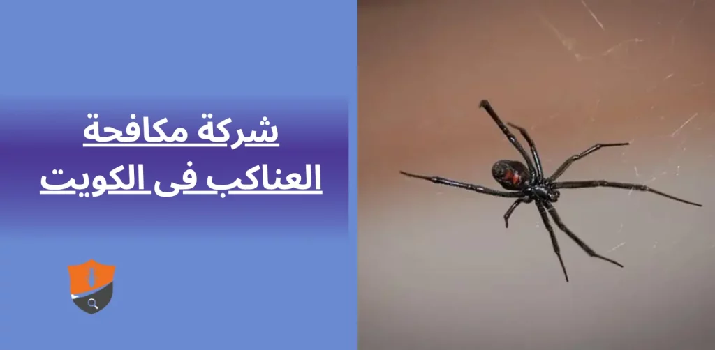 شركة مكافحة العناكب فى الكويت