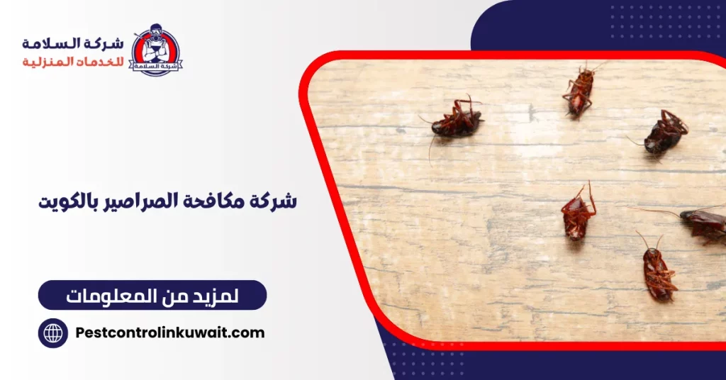 شركة مكافحة الصراصير بالكويت